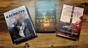 Książka na weekend &#8211; powieść z Sulejowa