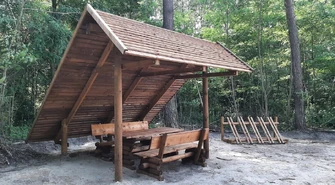 Wyrastają w lasach jak grzyby po deszczu