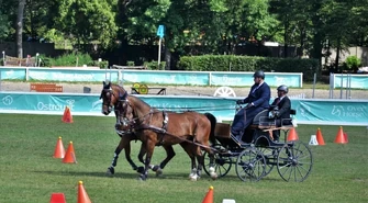 Mistrzostwa Polski w Powożeniu w Bogusławicach