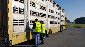 Nocna kontrola ITD na S8