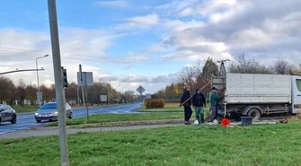 Żywopłot przycięty. Będzie bezpieczniej?