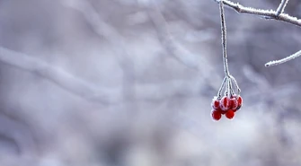 Jaka pogoda w święta?