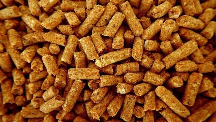 Jak dostosować temperaturę w domu?