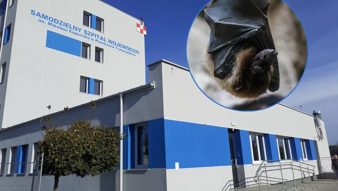 Taka wizyta nie zdarza się co dzień