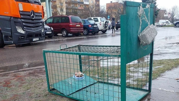 Klatka przy Matejki. Schronisko apeluje!