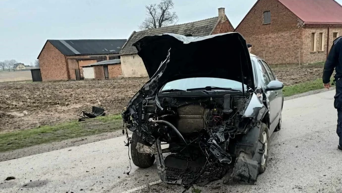 Podróż zakończył na płocie