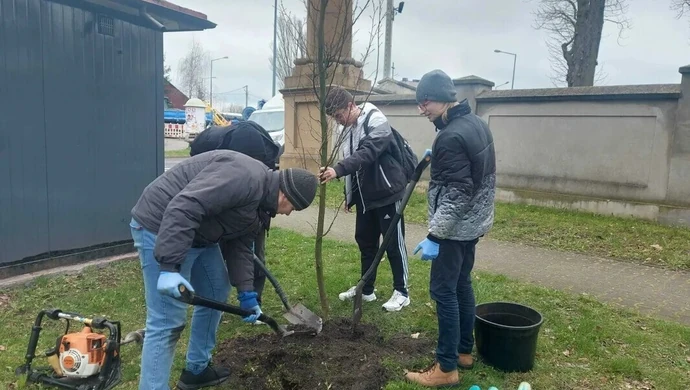 Dzięki uczniom skwer będzie jeszcze bardziej zielony