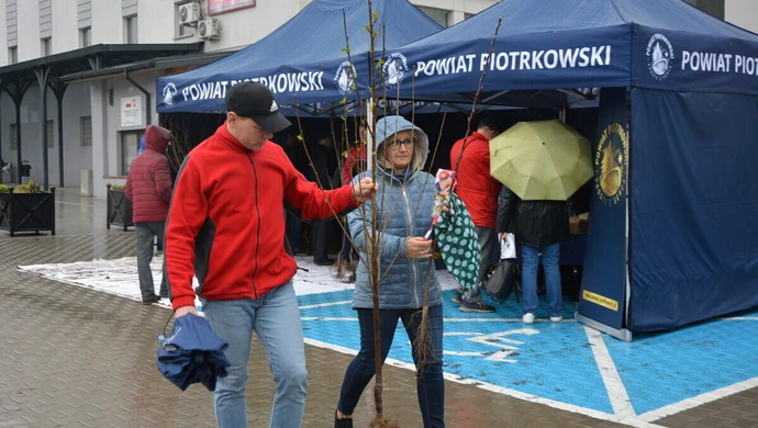 Znów nakręcają na zieleń