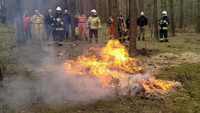Ćwiczenia terenowe z gaszenia pożarów lasów