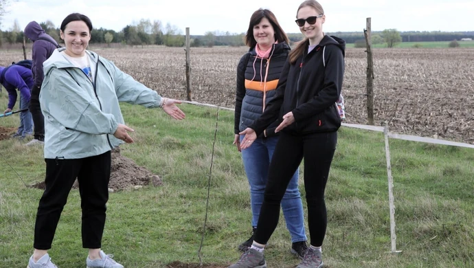 Posadzili ponad 100 drzew dla leśnych zwierząt