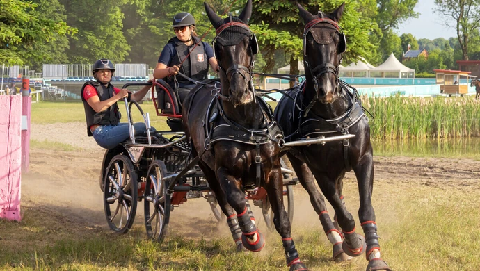 Wielkie emocje i świetna zabawa w Stadzie Ogierów