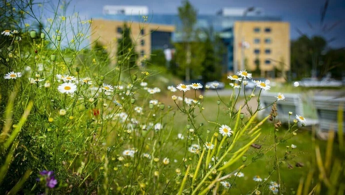 ERGO Hestia na pierwszym miejscu &#8222;Rankingu ESG. Odpowiedzialne Zarządzanie 2024&#8221;