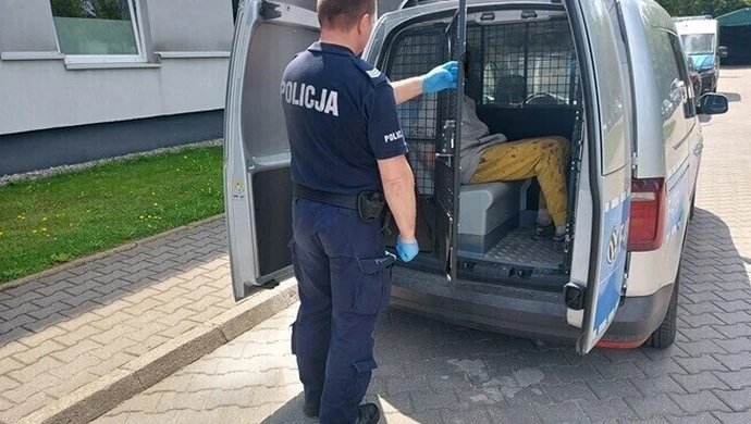 Czy w kaszance było za mało wątróbki?