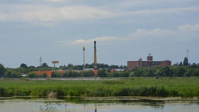 Kwitnie woda w Bugaju. Czy  to groźne dla ludzi?