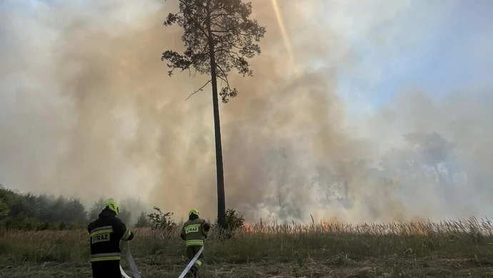 Duży pożar lasu w gminie Aleksandrów. W gaszeniu pomagał Dromader. FILM