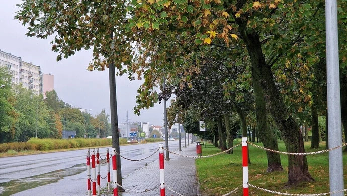 Atak na starszą kobietę w Al. Sikorskiego: poszukiwani świadkowie!