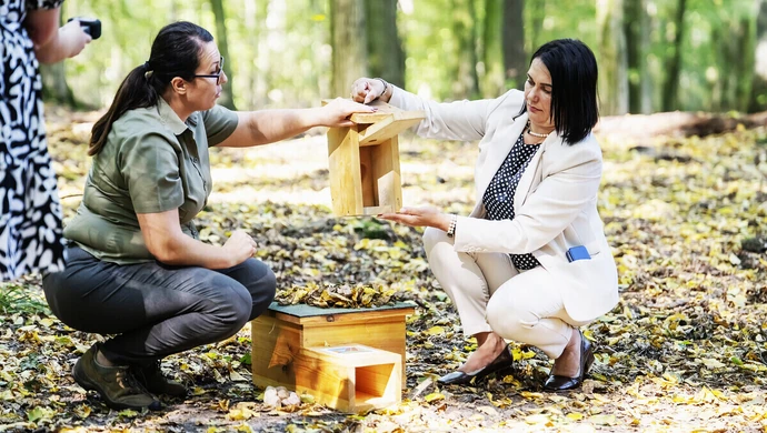 Pomóżmy dzikim zwierzętom przetrwać jesień i zimę