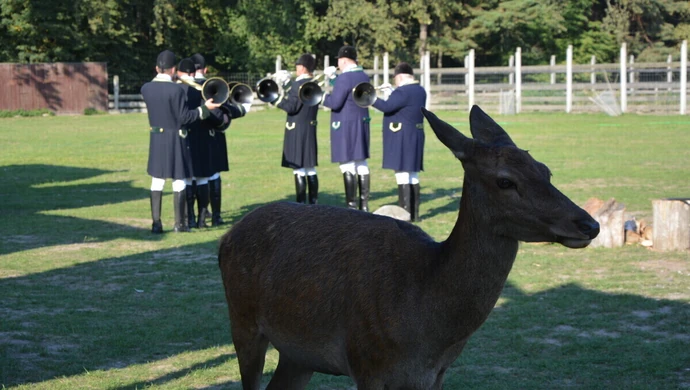 "Las Wielu Kultur" w Leśnej Osadzie Edukacyjnej w Kole