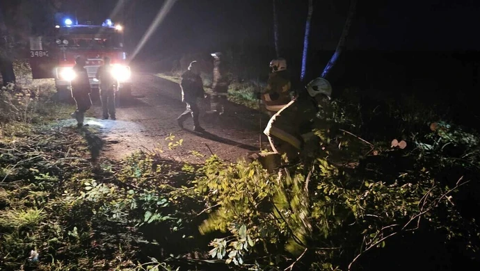 Przewrócone drzewo na jezdni. Droga jest zablokowana