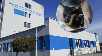 Taka wizyta nie zdarza się co dzień