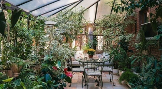 Jakie rośliny do ogrodu zimowego?