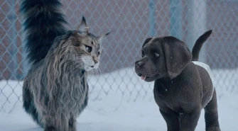 Kolejne nowości na dużym ekranie