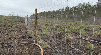 Siatka leśna - szybkie i tanie ogrodzenie budowy