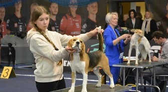 Psy myśliwskie rywalizowały w Piotrkowie