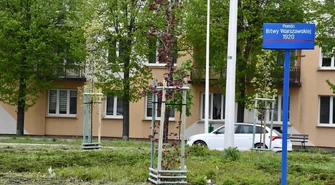 Oczyszczające drzewa na rondzie Bitwy Warszawskiej 1920