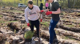 Rusza piąta edycja Festiwalu Wolontaryjnego EY GDS Polska. Pracownicy zasadzą 4000 drzew