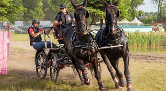 Wielkie emocje i świetna zabawa w Stadzie Ogierów