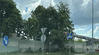 Przewrócone drzewo na jezdni. Miast Partnerskich była zablokowana