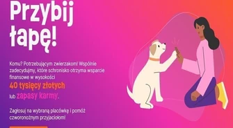 Trwa akcja &#8222;Przybij łapę&#8221;. Zagłosuj na schronisko w Piotrkowie