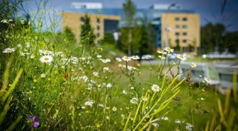 ERGO Hestia na pierwszym miejscu &#8222;Rankingu ESG. Odpowiedzialne Zarządzanie 2024&#8221;