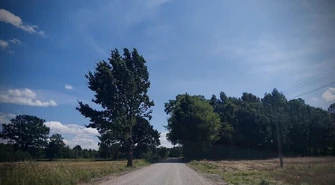 Droga powiatowa Mierzyn &#8211; Antonielów będzie modernizowana