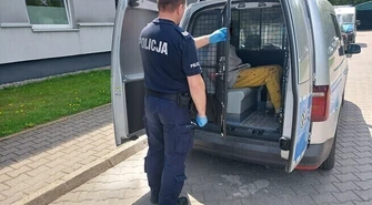 Czy w kaszance było za mało wątróbki?