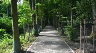 Ponad 20 suchych drzew w parku Belzackim