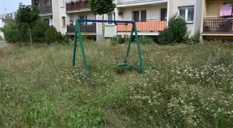 Niedbałość czy ekologia. Kiedy spółdzielnia "Karusia" skosi trawę przy blokach?