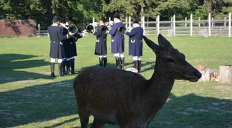 "Las Wielu Kultur" w Leśnej Osadzie Edukacyjnej w Kole