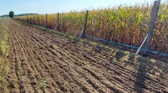 Elektryzator Chapron Sec 15 000 najskuteczniejszym pastuchem elektrycznym na dziki