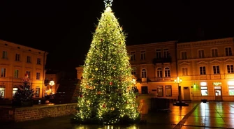 Jodła kaukaska i iluminacje już rozświetlają rynek (FILM)