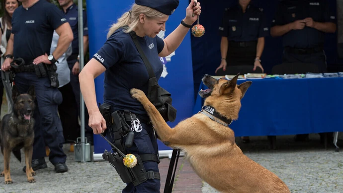 Startuje #SuperDzielnicowy 2025