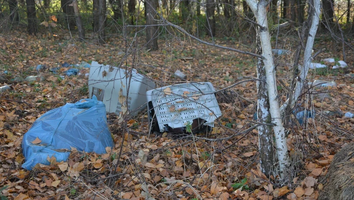 Wielkie sprzątanie Lasu Belzackiego