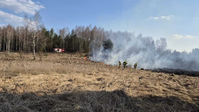 Pożary traw w Piotrkowie i regionie