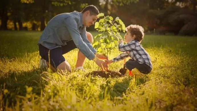 „Lasy na nowe 100-lecie”