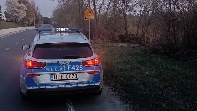 Policja apeluje - Kierowco, bądź ostrożny – dzikie zwierzęta na drodze