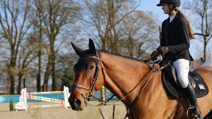 Ogólnopolskie Zawody w Stadzie Ogierów Bogusławice