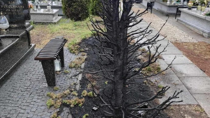 Groźby i podpalony rodzinny grób za plakat? 
