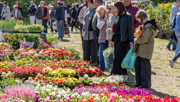Co się będzie działo w ten weekend w regionie? Sprawdź