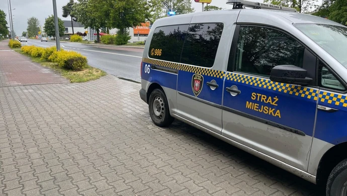 Potrącenie sarny na Sulejowskiej 